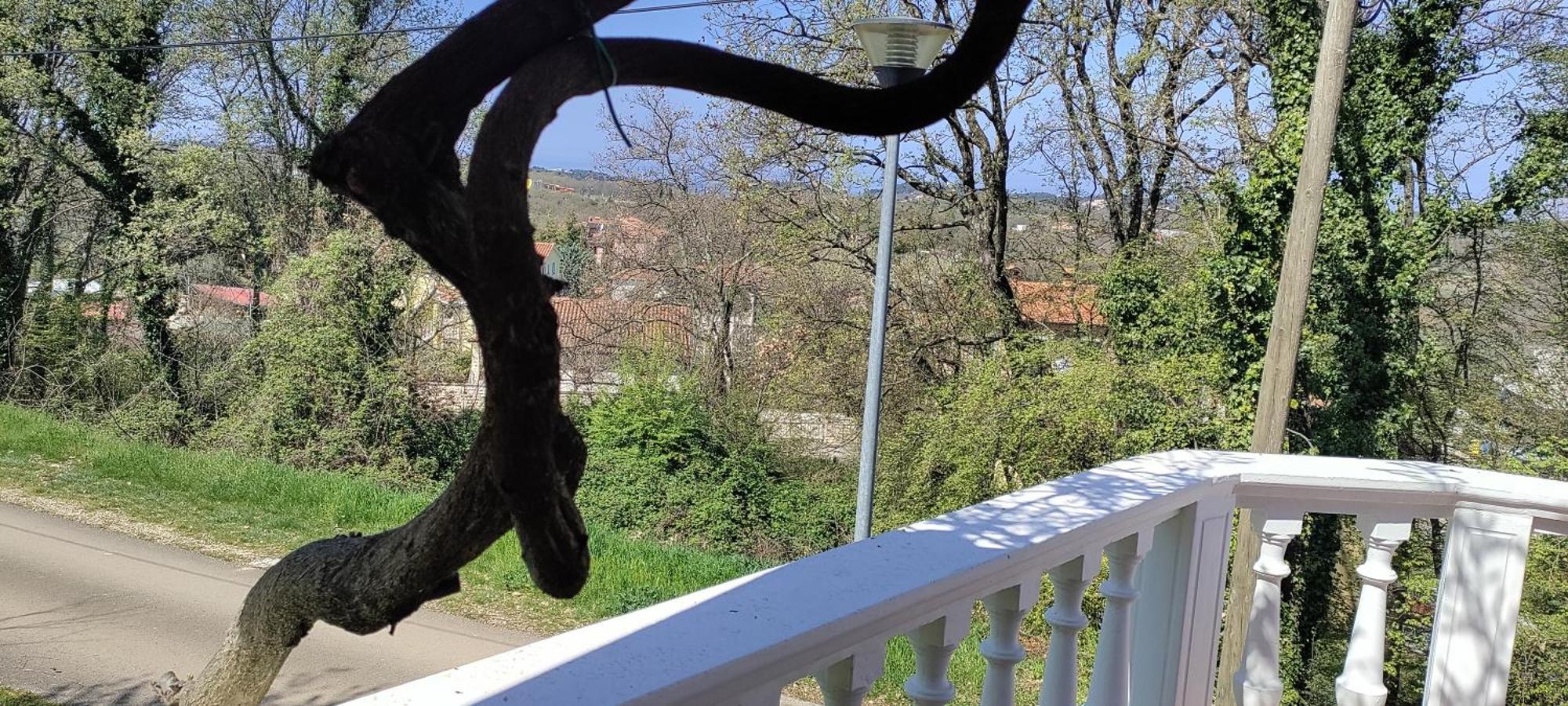 Vila Breskvar Mugeba Buitenkant foto